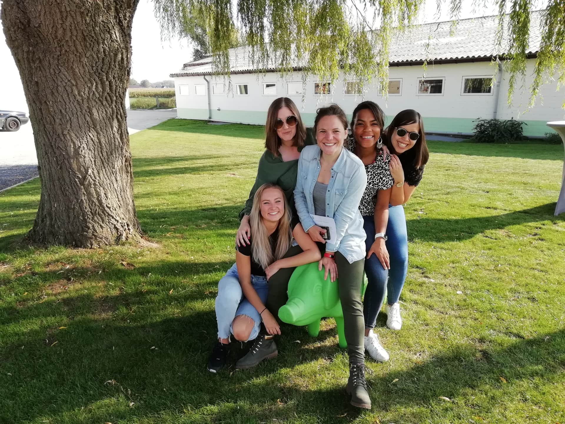 Pig your brain! header image