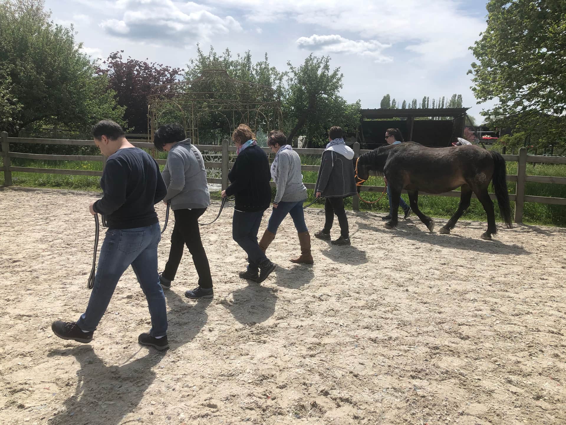 Team Coaching en présence du cheval header image