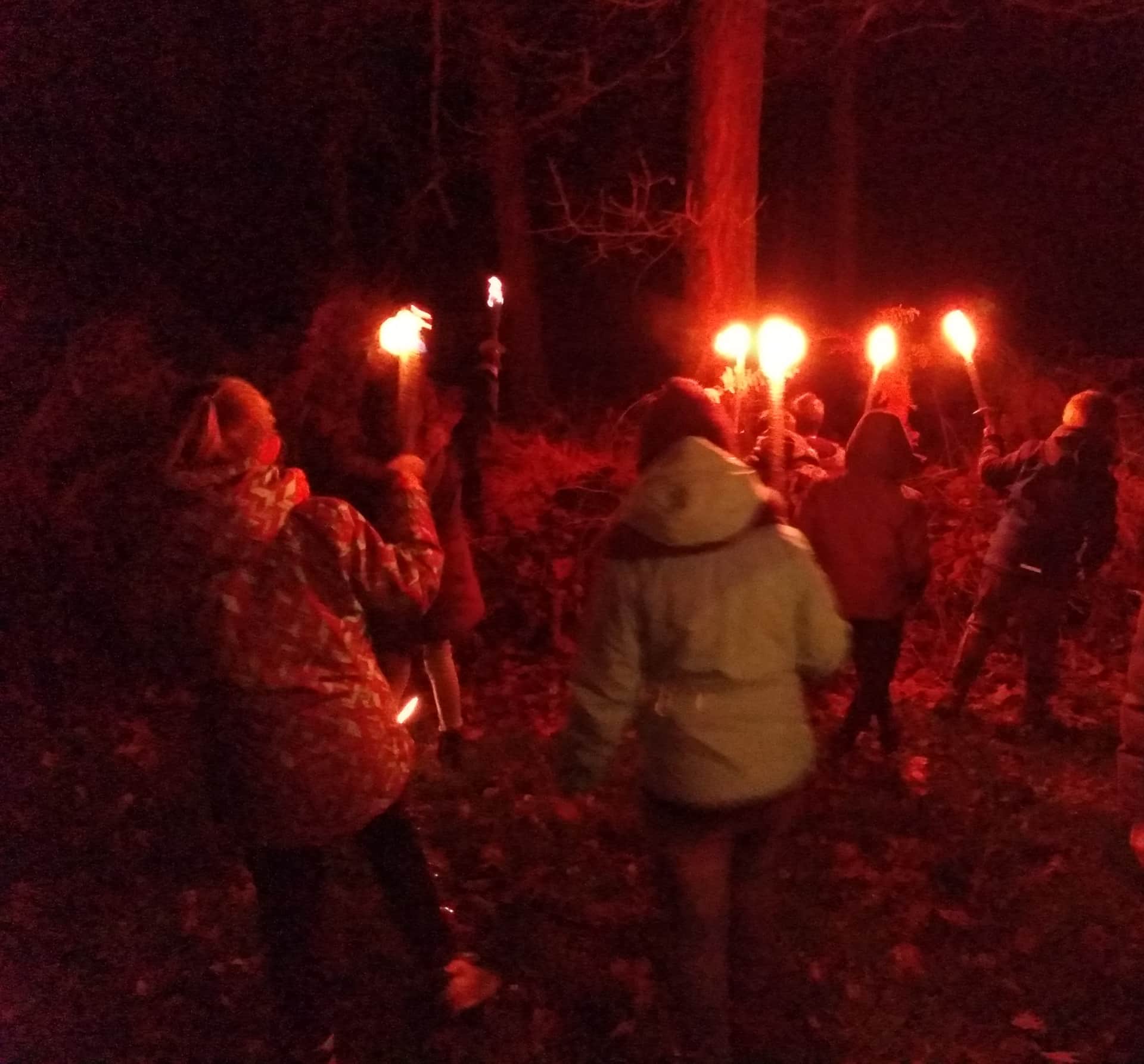 Fakkeltocht met gids doorheen de boomgaard header image