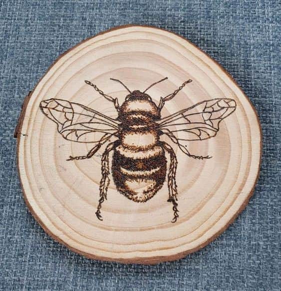 Burning Tree Disc header image