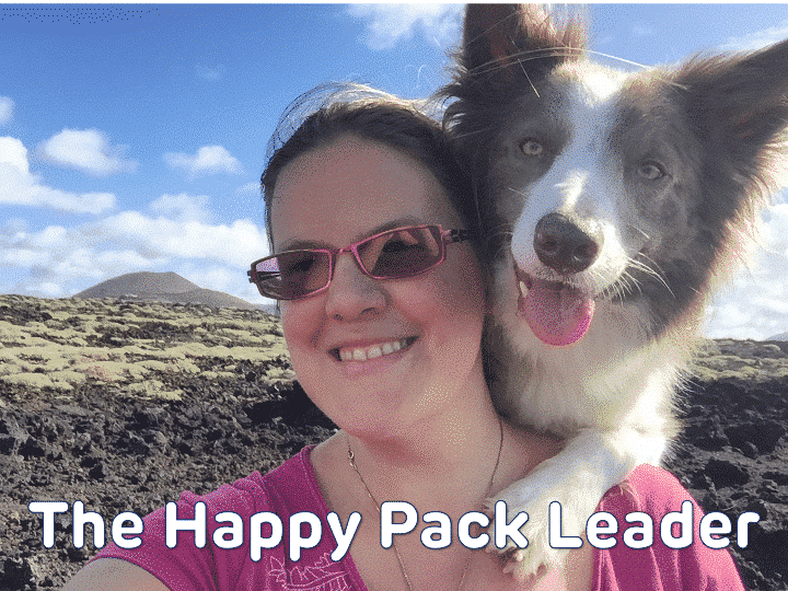 The happy pack leader header image