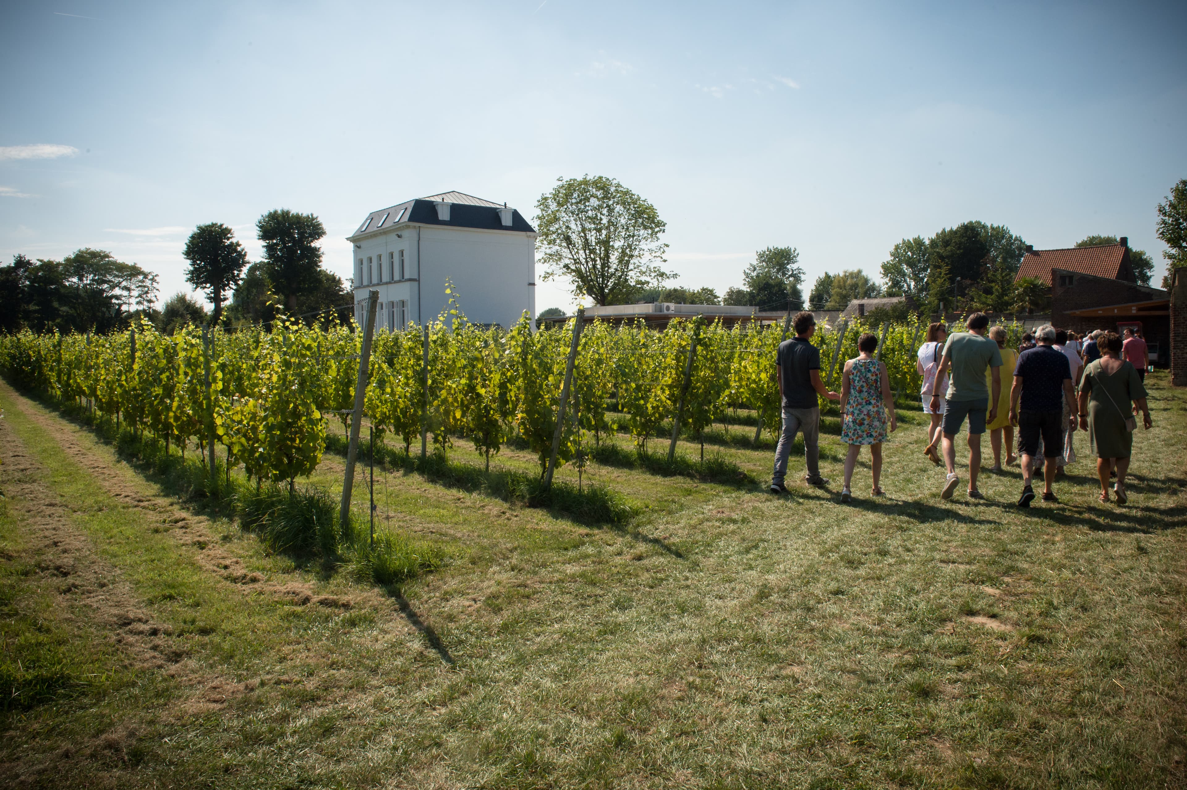 Domaine viticole: visite guidée et dégustation header image