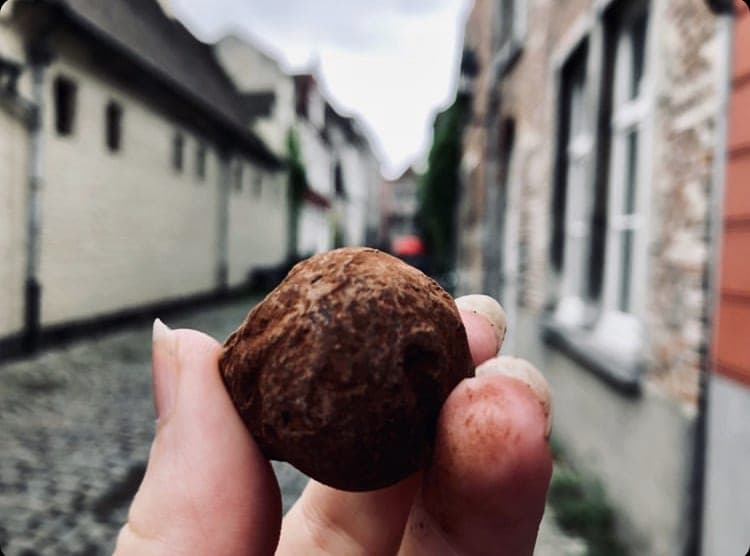 https://funkey.be/wp-content/uploads/2022/03/CHOCOLATE-TOUR-7.jpeg