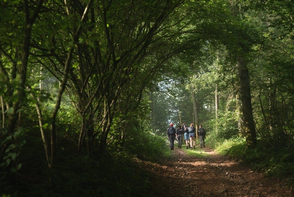 Foraging