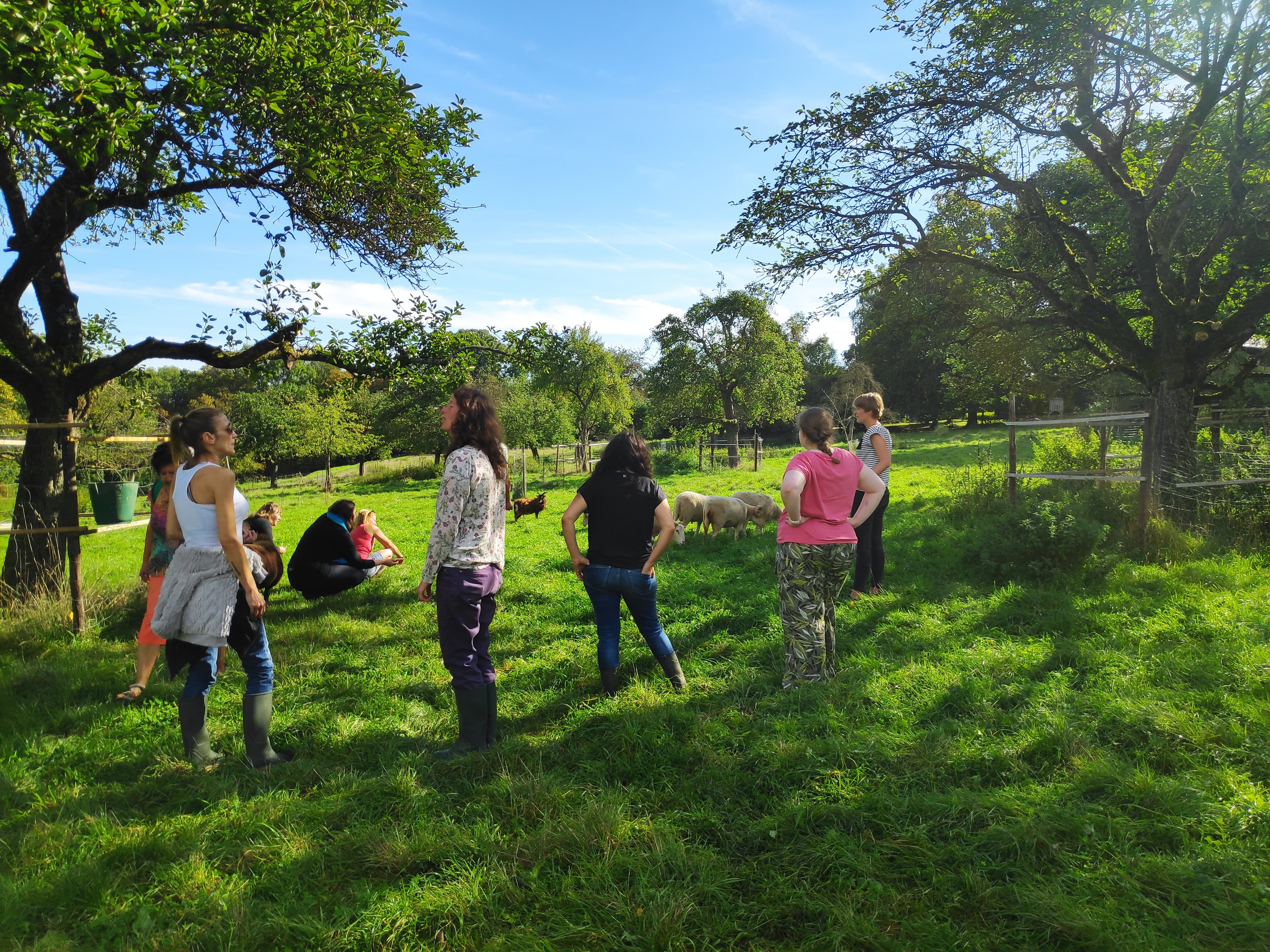 Slow Team building: Go green to build team spirit! header image