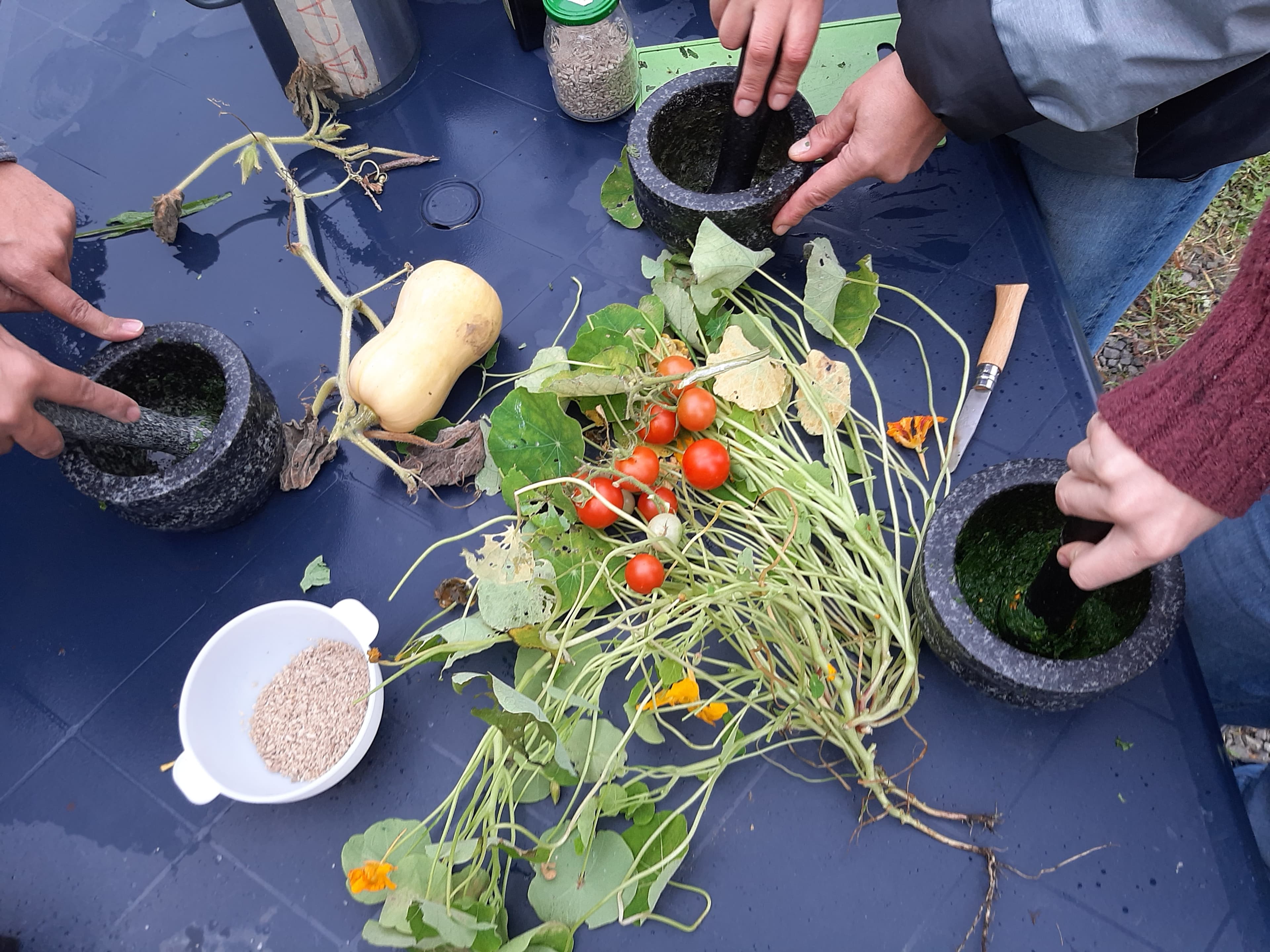 Slow Teambuilding : Exploration culinaire