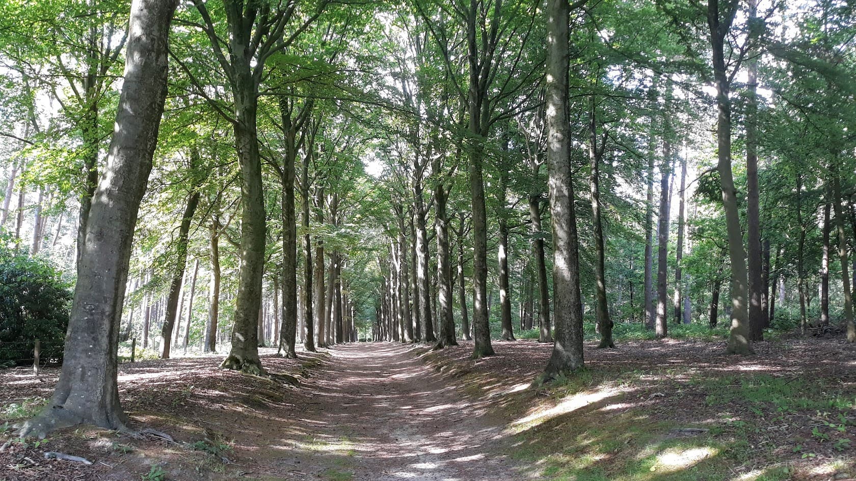 https://funkey.be/wp-content/uploads/2024/04/STILTE_WANDELING_3.jpg