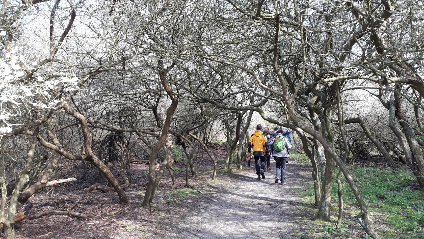 https://funkey.be/wp-content/uploads/2024/04/STILTE_WANDELING_GROEP.jpg