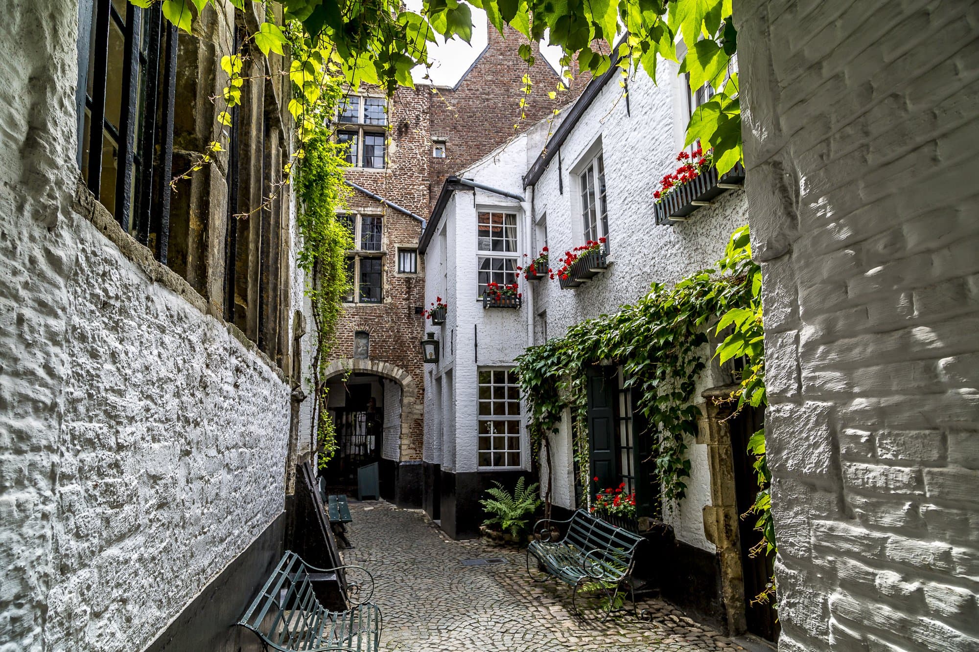 Walk & Dine: Antwerpen Centrum