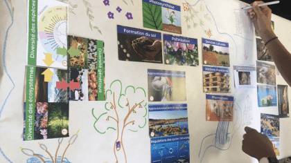 The Biodiversity Fresk header image