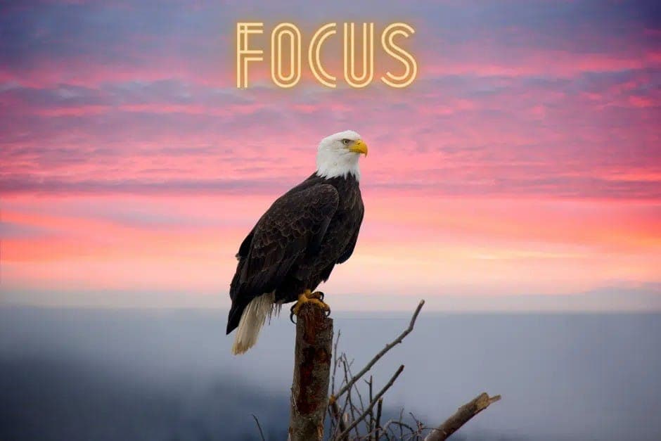 https://funkey.be/wp-content/uploads/2025/01/3411f2df-882a-4673-b7ad-4ee4ee1e37b5.jpg