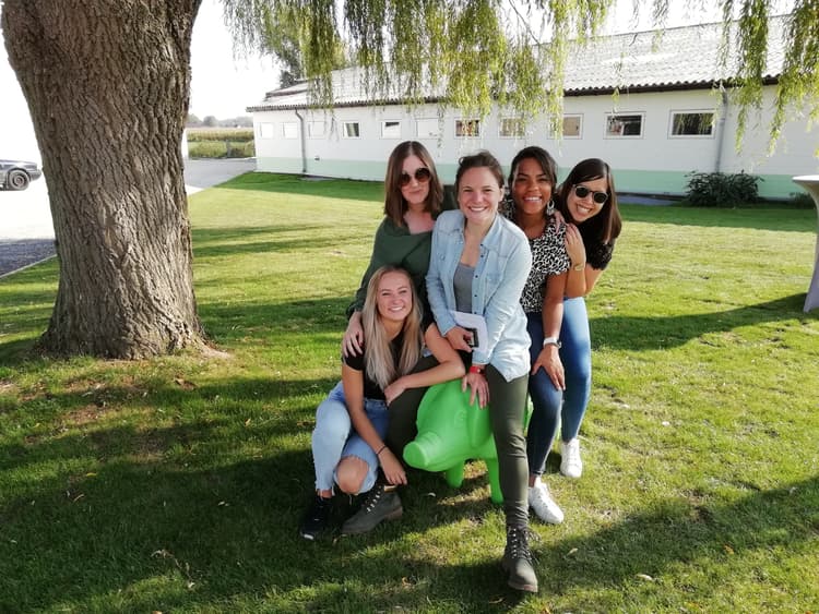 Pig your brain! - Header