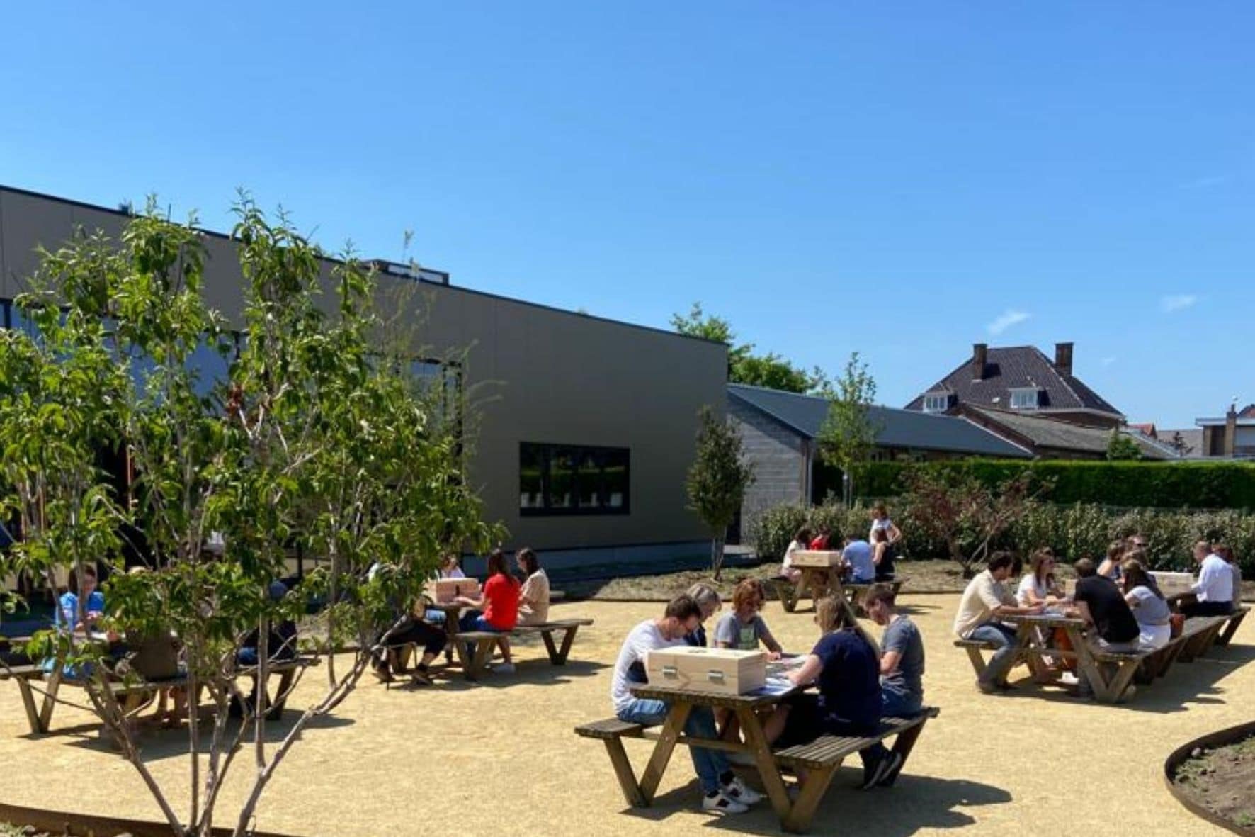 Escapebox - de vier kleurtypes