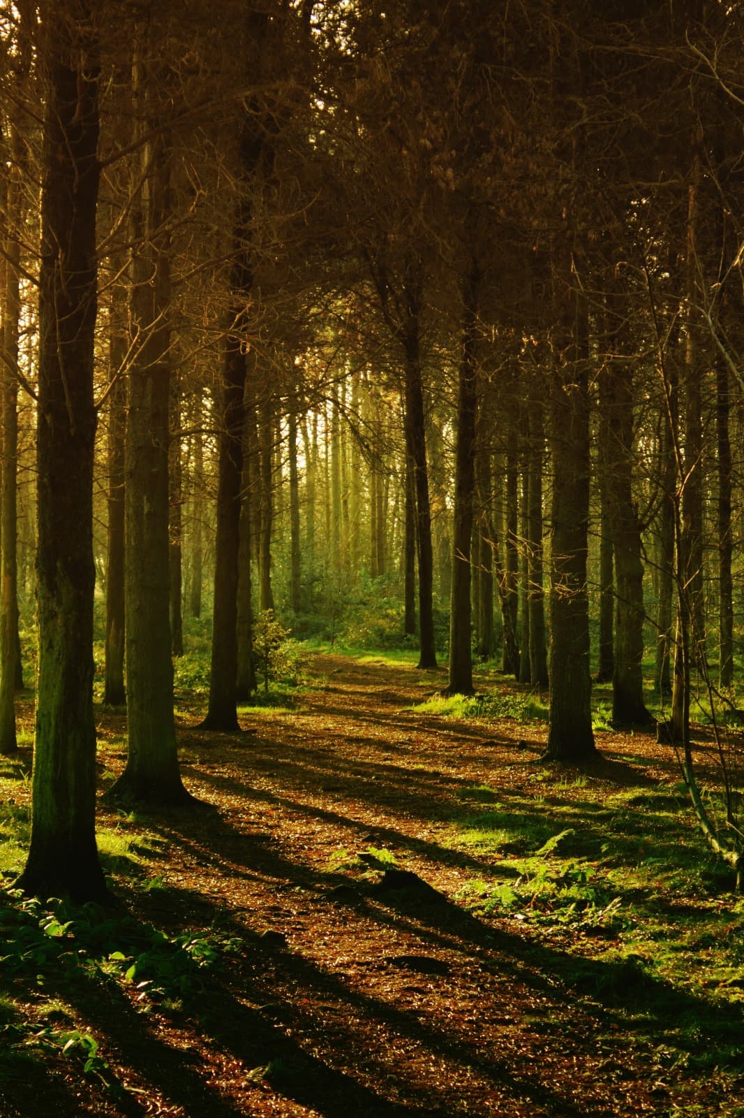 Bain de nature header image