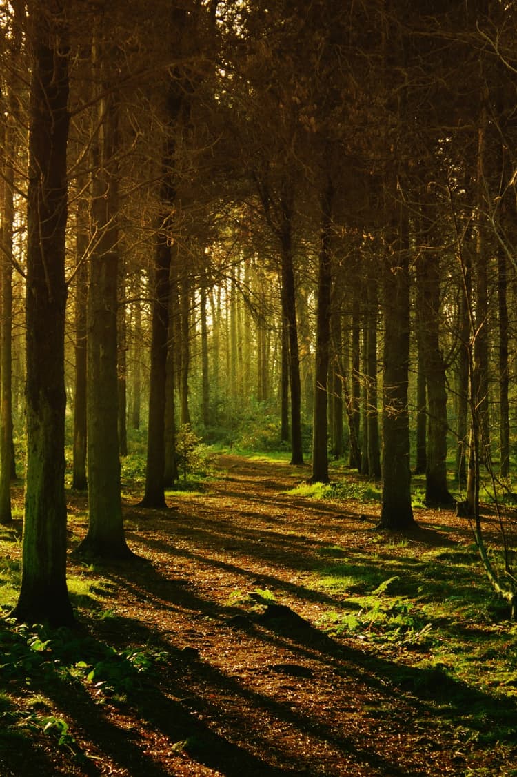 Bain de nature - Header