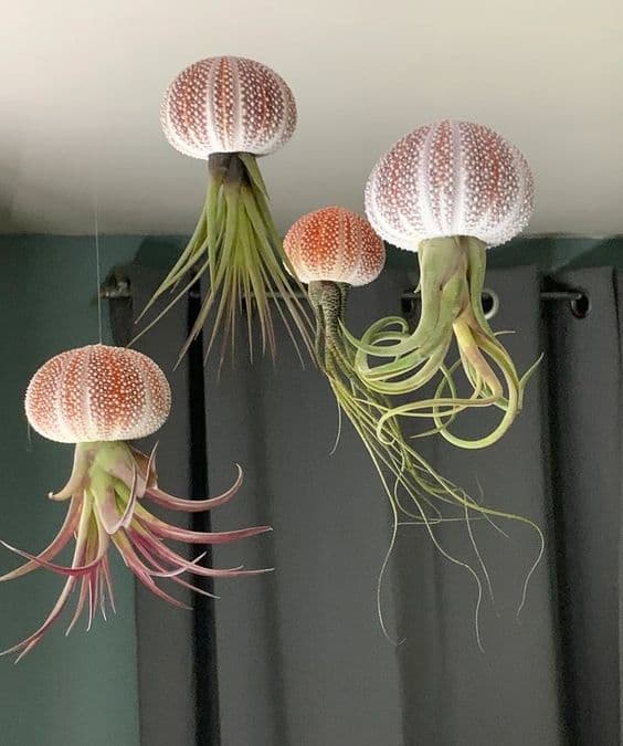 Workshop jellyfish hangers - Header