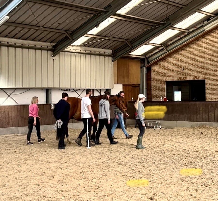 https://wp.funkey.be/wp-content/uploads/2024/04/groep-coaching-Vitaflo.jpg