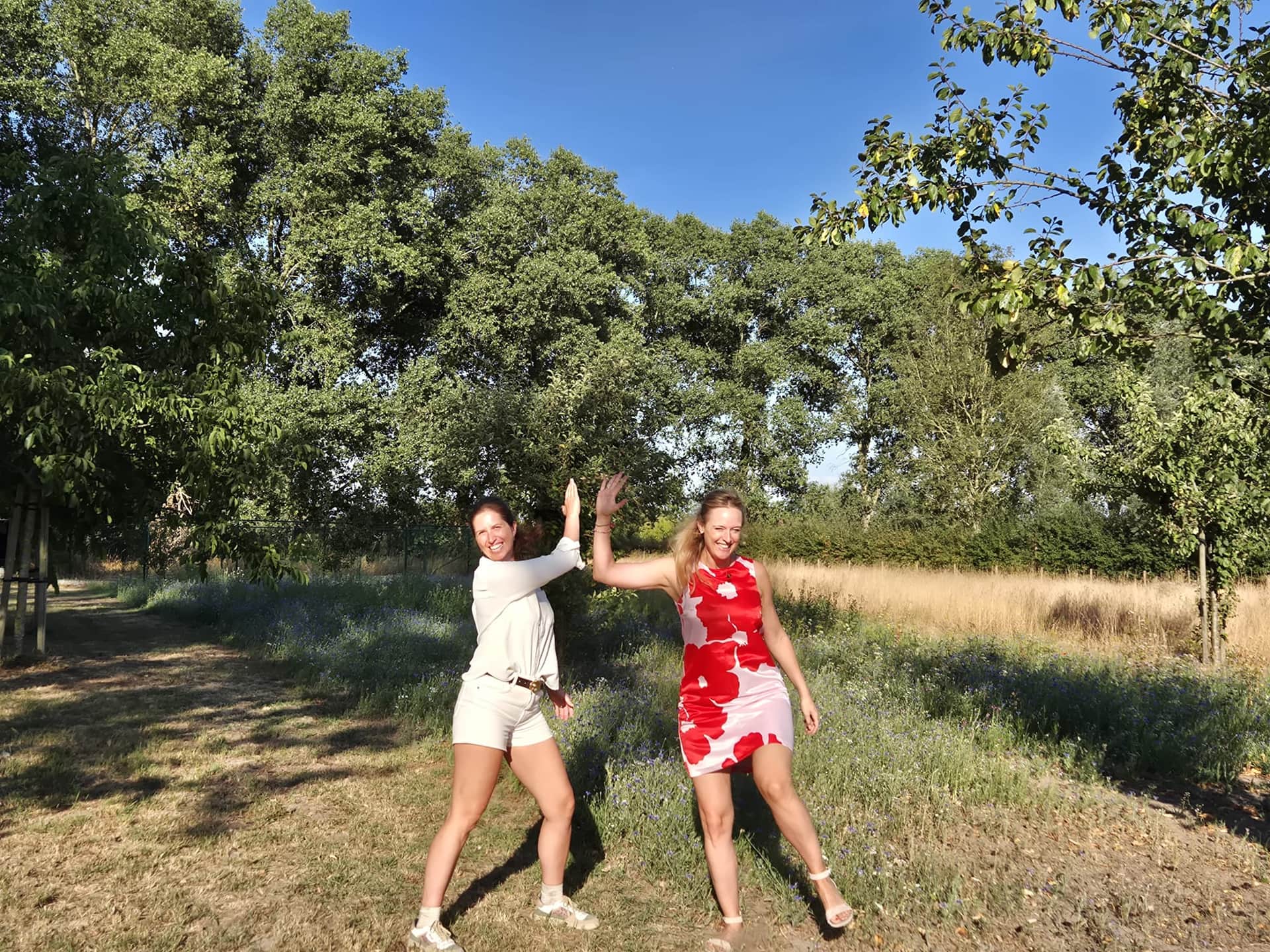 Ontdek het succesrecept van je team header image