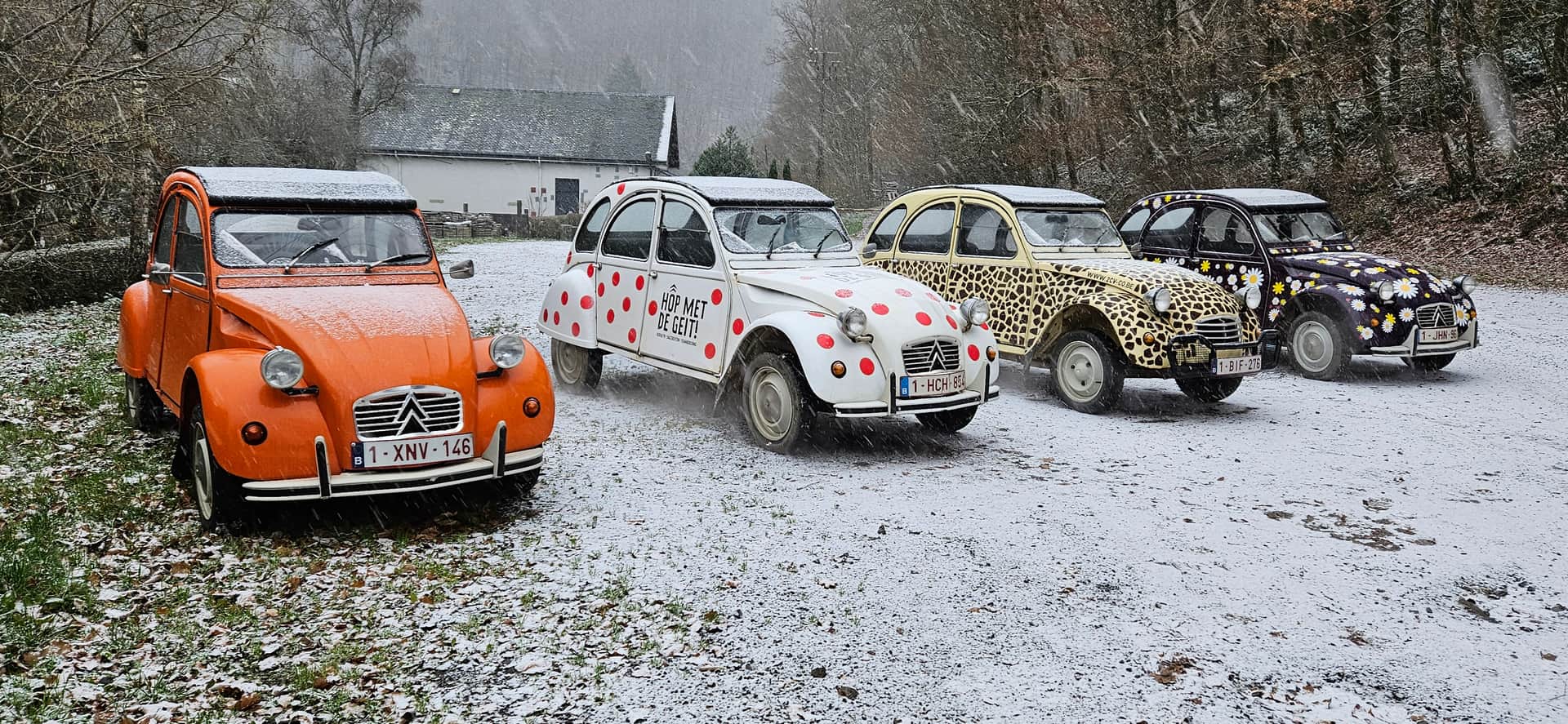 2CV Winter Special header image