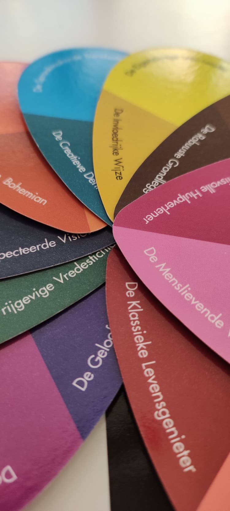 Samenwerken in Kleur - Header