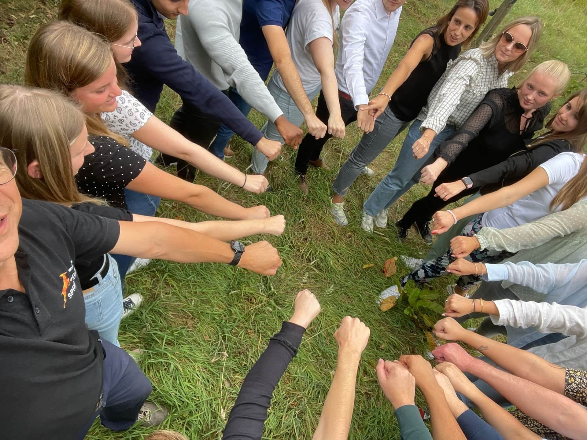 Teamcoaching header image