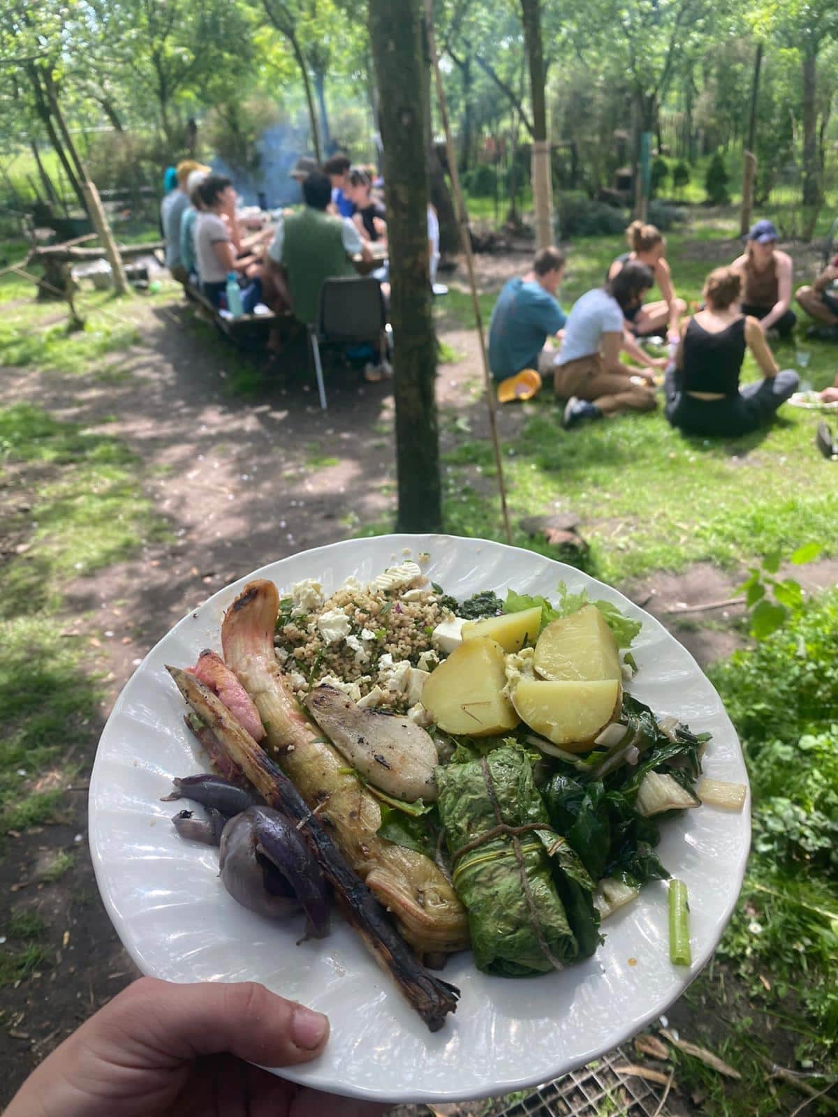 Wildplukwandeling met maaltijd header image