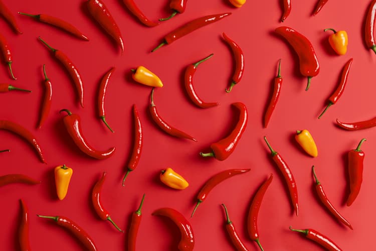 OpPepper - Header