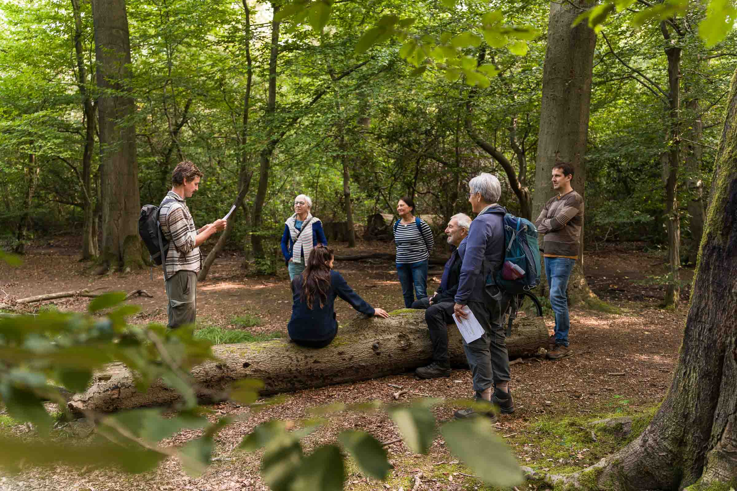 Forest Bathing for Teams – Slowing Down Together in Nature header image