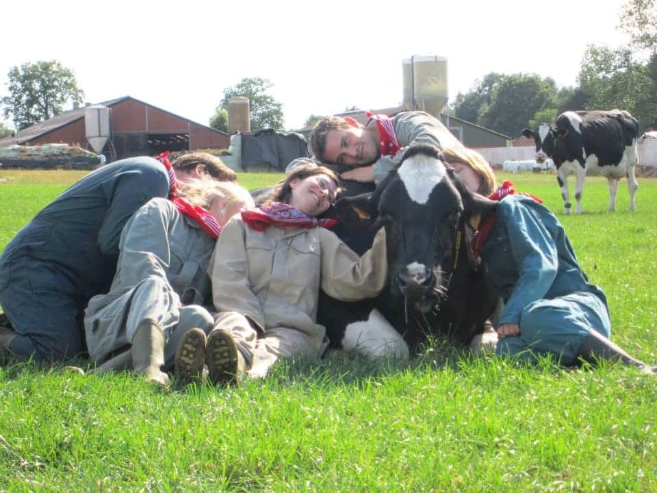 Koeknuffelen header image