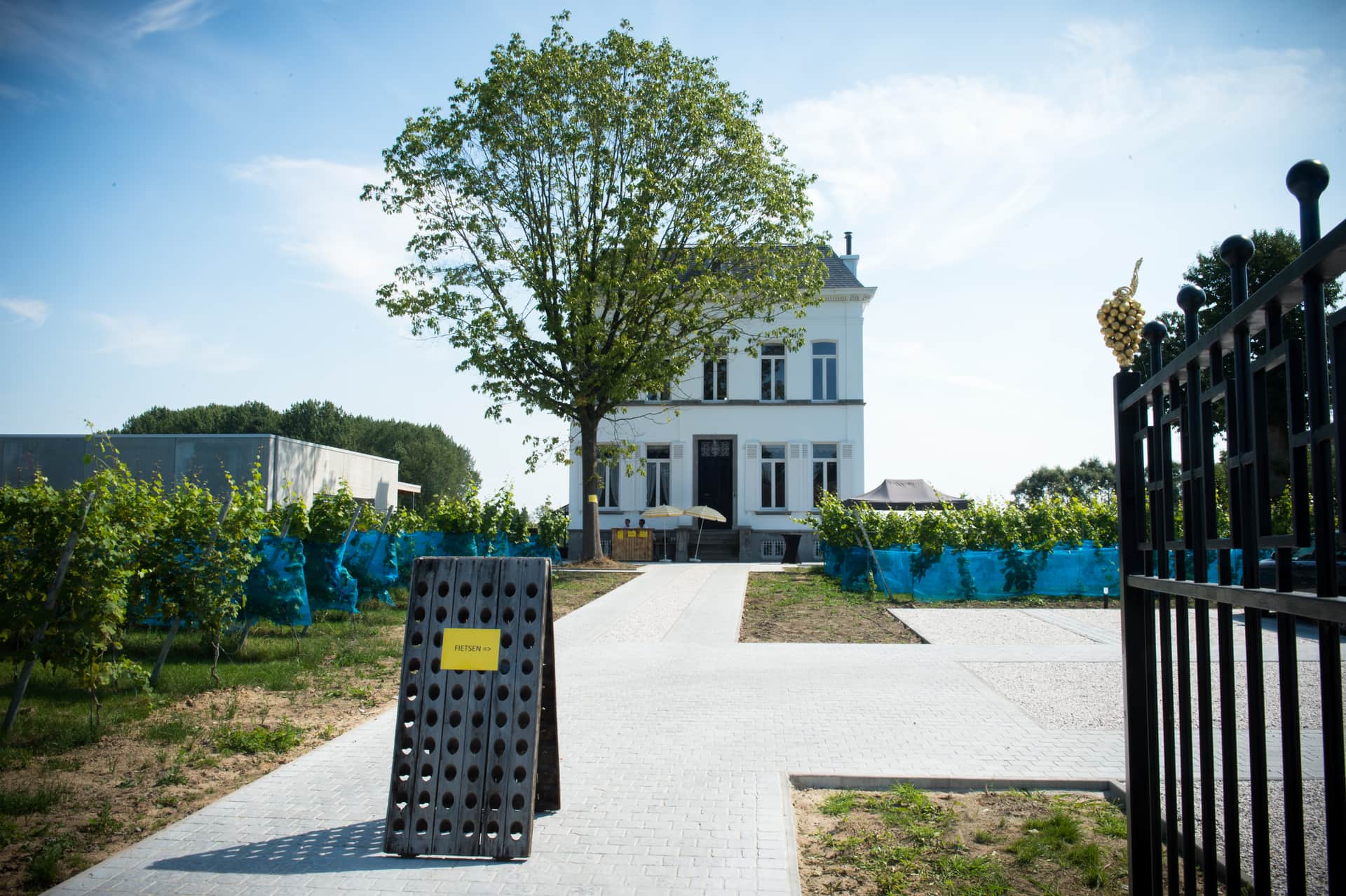 Domaine viticole, brasserie et kombucha, toute une expérience ! header image