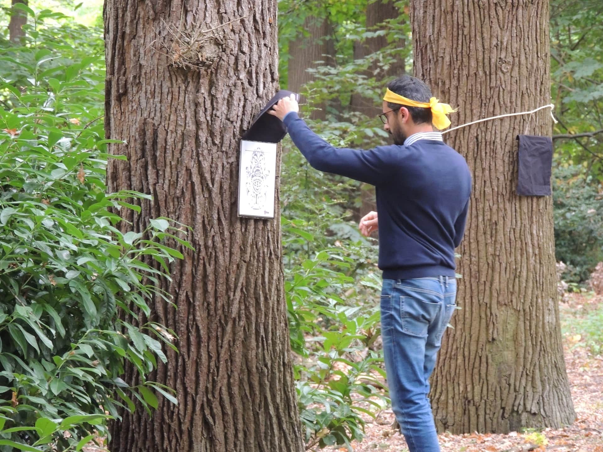 The Island header image