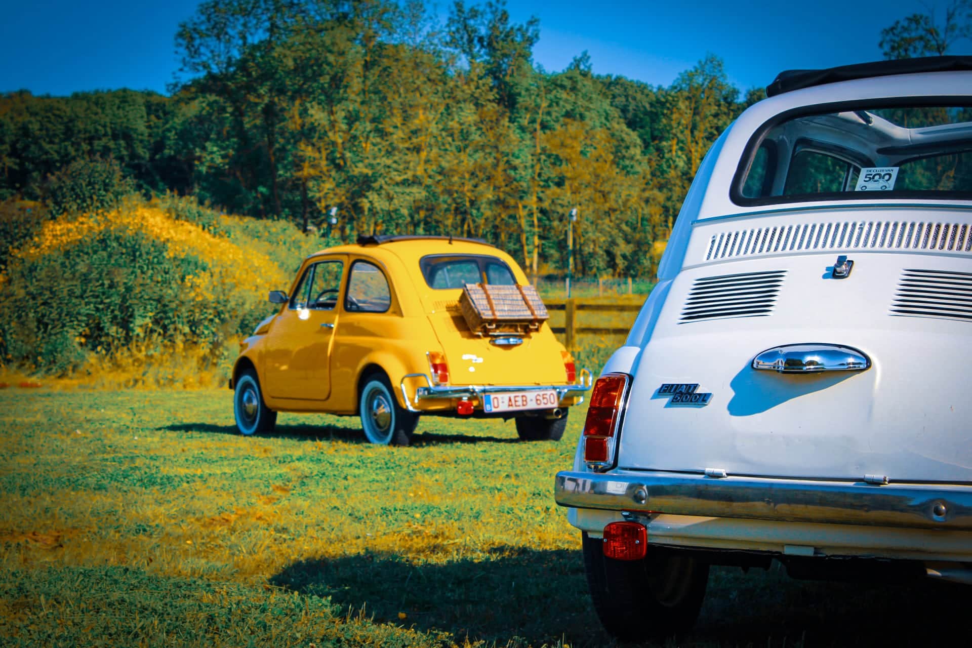 Oldtimer Fiat 500 Experience header image