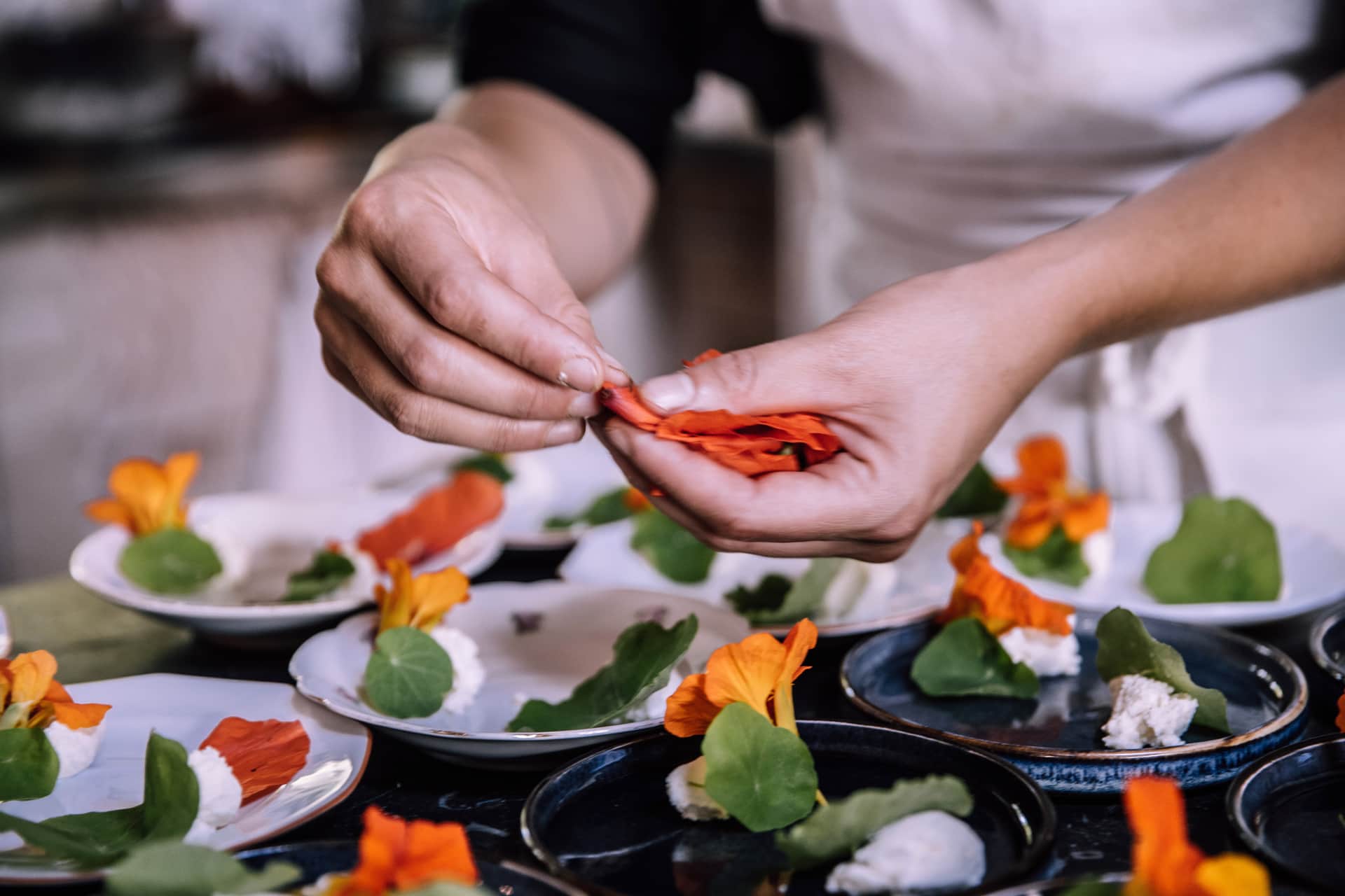 Farm to Table header image