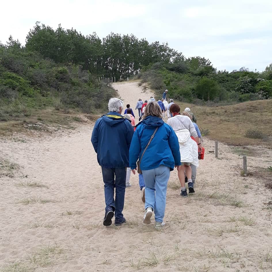 Stilte wandeling header image