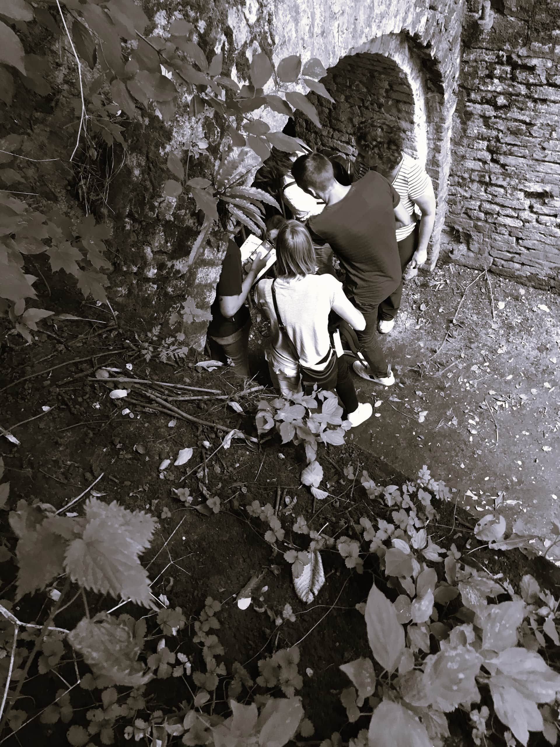 The moneyrally header image