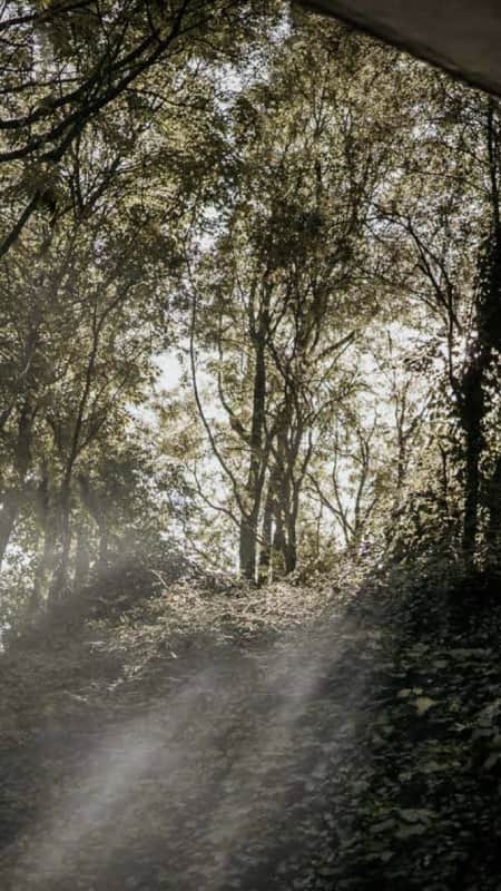 Energetische wandeling header image