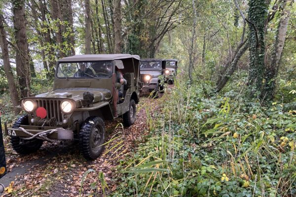 Jeeps in the forest