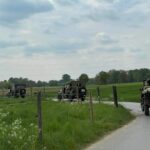 Touring with willys jeeps