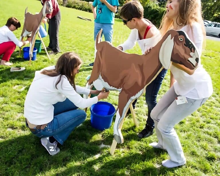 teambuilding op de boerderij