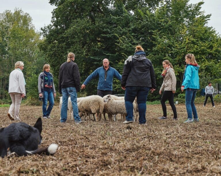 teambuilding op de boerderij